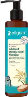 Pilgrim Korean Rice Water & Collagen Advanced Damage Repair Shampoo|Hair Fall Control