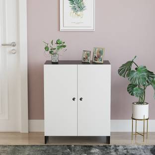 FURNEASER Camron Shoe Cabinet with Door, Stand, Engineered Wood Shoe Rack