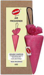 RunBugz Camphor Cone Car Air Purifier