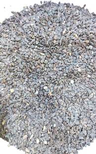 VINARGHYA Kala Talmakhana / Black Talimkhana / Kulikanta / Kuliyakhara / Shrigali Ikshura Scrub