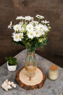 Satyam Kraft 1 Pieces Artificial Aster Flower for Home, Office Decoration Item White Bougainvillea Artificial Flower