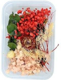 Revees Clive Multi-Color Assortment of Decorative Dry Flowers Ideal for Inspiring DIY Crafts Multicolor Peace Lily Artificial Flower