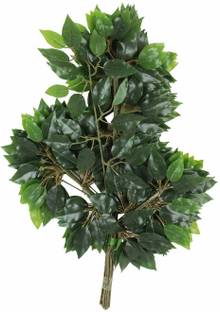 well art gallery Artificial Decorative Ficus 42 Leaves indoor&outdoor(60 cm Tall,Set of 12,Green) Artificial Plant