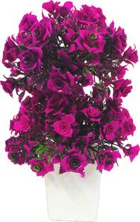 Dreamy Seductive Uncommonly Remarkable Conception With Simulation Plants For Vibes Bonsai Wild Artificial Plant  with Pot
