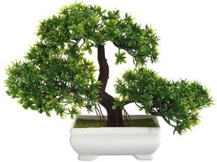 DecoratingLives BONSAI Bonsai Wild Artificial Plant  with Pot
