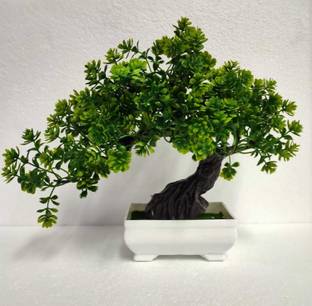 Florakite Bonsai Wild Artificial Plant  with Pot