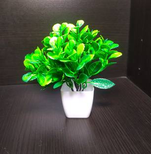 Paras Green Bougainvillea Artificial Flower  with Pot
