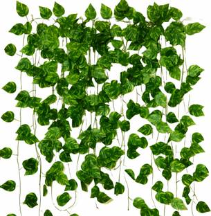 Akaar Money Creeper Pack of 2 ,For Home|Office|Garden|Decoration Artificial Plant