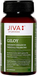JIVA Giloy Capsule - Immunity Booster - 60 Capsules - Pack of 1