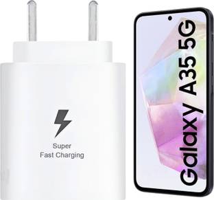 RoarX 25 W PPS 3 A Wall Charger for Mobile