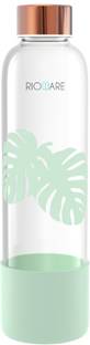 Rioware 750 ml Glass, Silicone Bottle