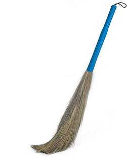 Bonbella Floor Cleaning Broom Grass Dry Broom