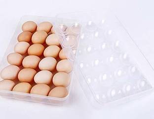 JIGSHTIAL Plastic Egg Container  - 2 dozen
