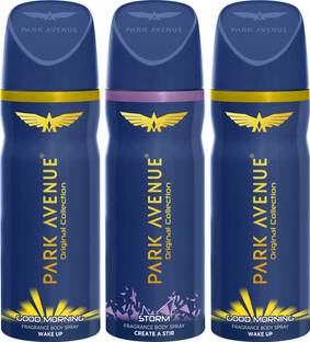 PARK AVENUE Body - Good Morning, Storm Deodorant Spray  -  For Men