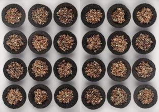 sethias Loab Cup 12 set Floral Dhoop