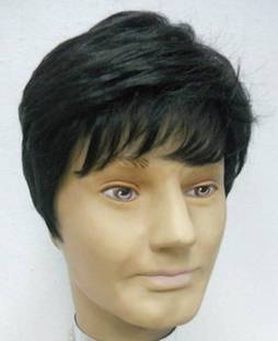 Smart Hold Short Hair Wig
