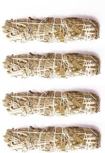 Essencioshop 3 bundles sage