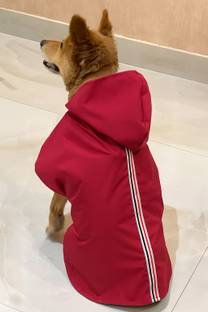 PET SNUGS Raincoat for Dog