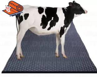 Ursus Easy Clean Waterproof With Raised Edges Mat For Cow, Buffalo & Bull (BLACK) XL Pet Bed