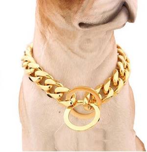 SUPER Dog Collar & Chain