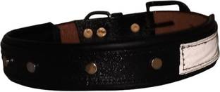 Peto lovers Dog Everyday Collar
