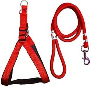 SUPER Dog Harness & Leash