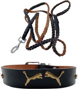 Daviloss Paws Paws dog neck collar belts and leash set combo pack 2 Dog Bark Contro Collar Dog Collar & Leash