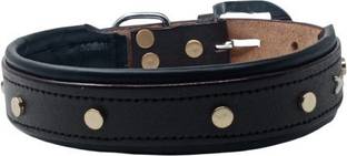 Peto lovers S Neck Belt Nug Comfy Soft Leather Padded Collar (S, Recommended for 5-15KG Pet) Dog Show Collar