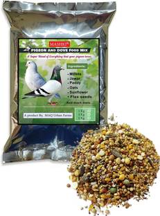MASHKI MASHKI Bird Food for Pigeons & Doves | Seeds, Grains & Maize Blend Nuts, Oats 0.18 kg Dry Adult, New Born, Senior, Young Bird Food