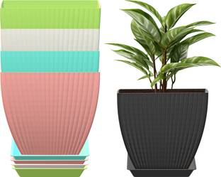 FORWAY Plant Container Set