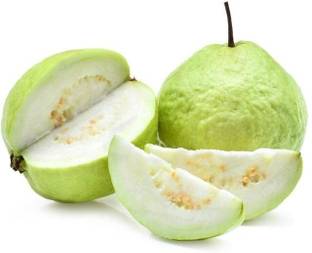 Ariya Guava Plant