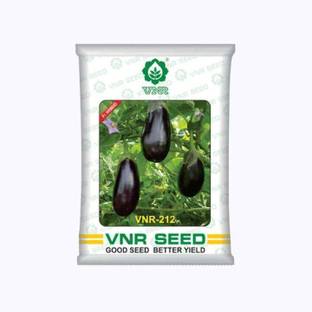 VNR vnr 212 F1 Hybrid Brinjal Seed