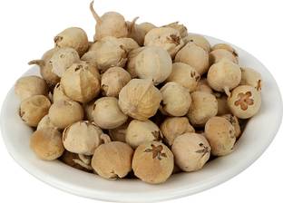 Kashvy Paneer DODI | Indian Rennet | Paneer Doda | Paneer Ka Phool | Withania Coagulans | Anti-Diabetic Seed