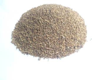 VINARGHYA Ajamoda, Ajmoda, Apium Graveolens, Ajmuda, Randhuni, Banyamani Seed
