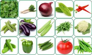 Aero Seeds 15 variety vegetable seeds combo pack with instruction manual. Seed