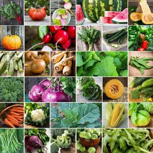ALPINE HYBRID SEEDS MIX VEGITABLE'S Seed