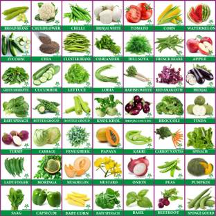 Greenery Hub 50 Variety MIx Vegetables & Fruit High Germination Seeds Combo Seed