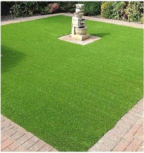 ibains Garden green grass seeds Seed
