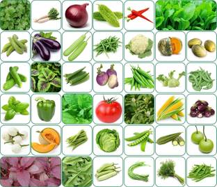 SUAA Combo 40 variety Vegetable mix seeds, fruits seeds, Herb Seed