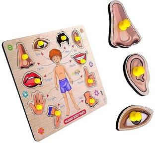 Shreevi Learning Toys Human Body Parts Name Chart Puzzle Board With Picture
