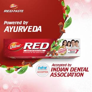 Dabur Red Paste 100g World's No.1 Ayurvedic Paste 99g Toothpaste