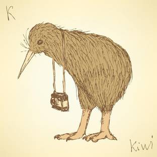 Pitaara Box Fancy Kiwi Bird Unframed Wall Art Painting Print Canvas 16 inch x 16 inch Painting