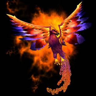 Pitaara Box 71.12 cm Phoenix Bird Unframed Glossy PVC Vinyl Wall Sticker Decal Self Adhesive Sticker