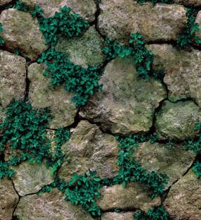 Asian Royals Decorative Green Wallpaper