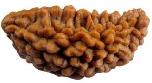 Neelkanth Rudraksha 1 mukhi rudraksha Half Moon Wooden Yantra