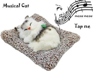 dishvy Sleeping cat with meaw sound | Musical cat Idol B
