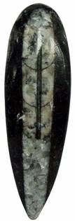 9dzine Crystal Orthoceras fossil Kuber Stone,Finance Stone for Success & Stress Reduces Decorative Showpiece  -  2 cm