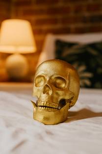 bm handicraft human skull Decorative Showpiece  -  22 cm