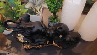 ArtMania Decorative Showpiece  -  30 cm