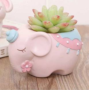 digit infracom Devine Decor Pink Resin Elephant Mini Succulent Pot Decorative Showpiece  -  10 cm